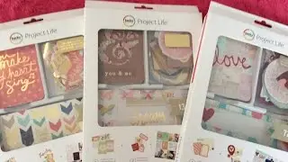 NEW Becky Higgins Project Life Kit Flip Thrus -Gold & Glitter Editions