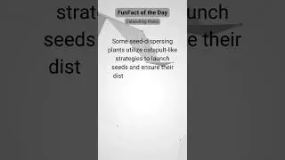 Botanical Catapults: The Ingenious Propulsion of Seed-Dispersing Plants