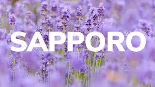 Best Hotels For A Great Stay In Sapporo, Hokkaido