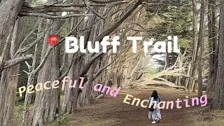Pacific Coast Hidden Gem ☺️ Bluff Trail | Moss Beach, CA | #Travel #Traveling #Adventure #California