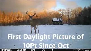 My Hunting Season 2025