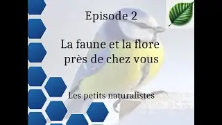 &eacute;pisodes 2 la faune et la flore pr&egrave;s de chez vous