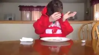 Hundekopf :0