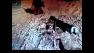 MW2 sentry gun glitch