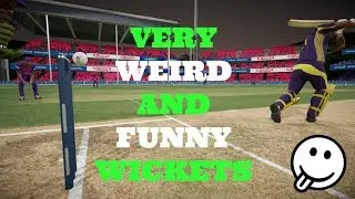THE MOST WEIRD AND FUNNY WICKETS IN CRICKET - DBC 17 EDITION MUST WATCH !!
