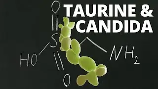 How Taurine and Candida Affect Each Other
