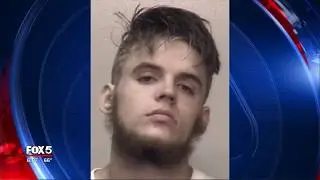 Teen charged with trafficking meth