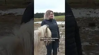 Познакомьтесь с миниатюрными пони, которые меняют жизни людей благодаря терапии.