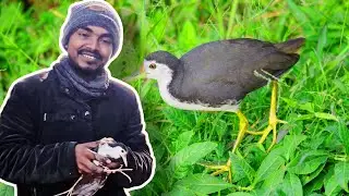  I saved a bird 🕊️ 🥰🥰 Save the animals and birds #mini vlog ##sadbackgroundmusic #pubikash