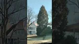 Cool Homes on Elm St. #oberlin #ohio
