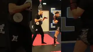 Fast Boxing Pad Work Drill to Set up the Power Body Shot #shorts