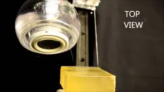 Haptic-Feedback of a Force-Sensing Biopsy Needle