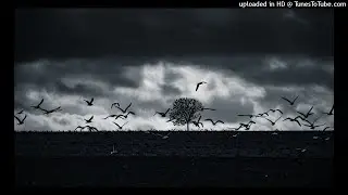 ZonePhone - ncsalfred - song