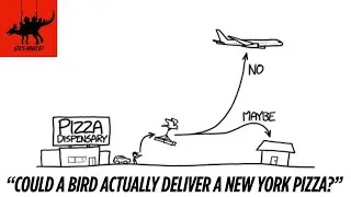 &ldquo;Could a Bird Actually Deliver a New York Pizza?&rdquo; 🍕🦜