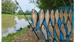Angling at Dimajetham pond (New fishing spot) Bamunpukhuri 'B' village| Dimapur | Nagaland.