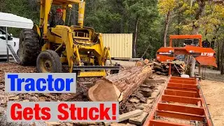 Loading and Milling Incense Cedar Log on Woodmizer LT15 Sawmill Tractor Gets Stuck