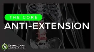 The Core Anti-Extension Exercises