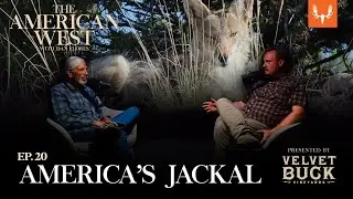 Coyote: America&rsquo;s Jackal and Its Roller-Coaster Ride Through History  | The American West Ep. 20