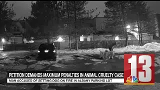 Petition demands maximum penalties in animal cruelty case