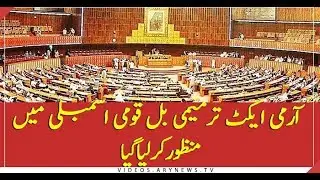 National Assembly Unanimously Passes Army Act Amendment Bill 2020