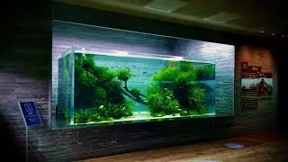 Brilliant Nature Aquarium Aquascapes at Sumida Aquarium Tokyo (2020)