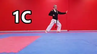 Sensei Kimura's combinations - 1A, 1B, 1C & 1D