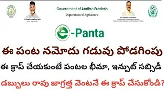 e panta namodu || e panta booking status 2024 ||e panta@ConnectingChandra