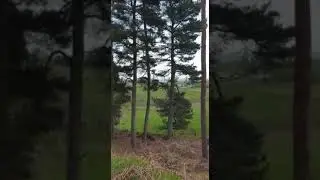 Beautiful Scottish Nature
