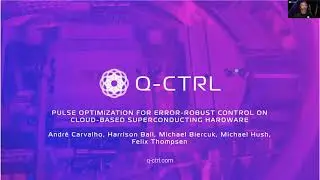 [APS March Meeting] Pulse optimization for error-robust control on cloud-based hardware.