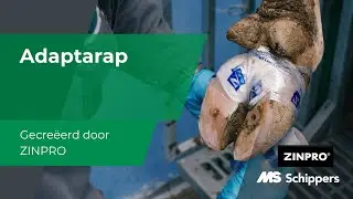 Adaptarap Klauwbandage | NL