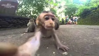 VOYAGE DE 3 MOIS EN ASIE DU SUD-EST AVEC MA GOPRO