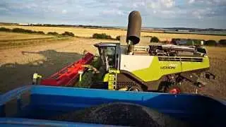 Harvest 2014