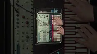 🎛️ #buchla #synth #electronicmusic #synthesizer #noise #patchandplay