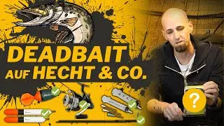 Deadbait-Angeln auf Hecht und Co. &ndash; mit dem Programm von Fox Rage! 🎣