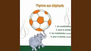 Pour la victoire (Remix)
