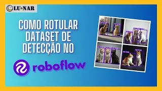 Roboflow: Como Rotular Datasets para Detecção de Objetos | LUNAR