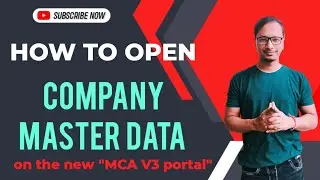 How to check Company Master Data on V3 portal?