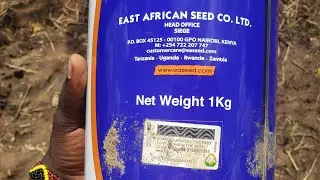 How to Verify Genuine Sukari F1 Watermelon Seeds by Syova, East African Seed Co. Ltd.