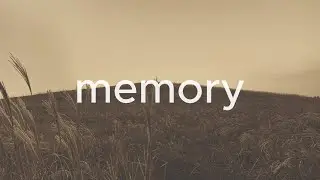 if : memory 🌾 &mdash; dreamy nostalgic acoustic mix