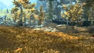 Skyrim - a Mage flies. Glitch?