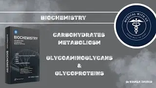 Glycosaminoglycans & Glycoproteins | Lippincott Review | Medical With Us | Dr Hamza | Laiba Komal