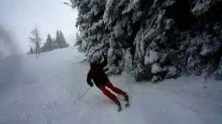 Laber Nordhang - Ed am Laber