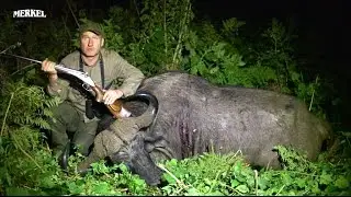 Hunting Cape Buffalo in Tanzania