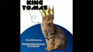 please follow my page...i am a graphics designer #cat #king #cat