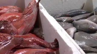 What will Brexit mean for the UK&rsquo;s fishing industry?