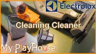 Electrolux 2in1 ErgoRapido Cordless Vacuum Cleaning - 729