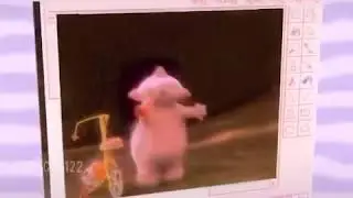 Macca pacca got that dump truck