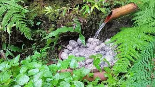 Bamboo Water Fountain Healing 24/7 自然の音とともに音楽をリラックス バンブーウォーターファウンテン 【癒し音楽BGM】
