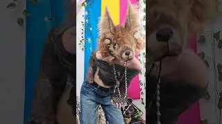 on the prowl 😈😈😨 #therian #therianthropy #quads #theriangear #alterhuman #hyenatherian @odetari