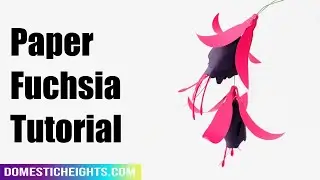 Paper Fuchsia Tutorial
